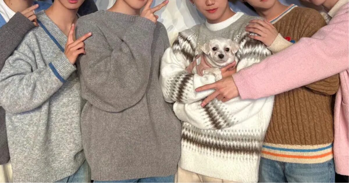 4th Gen Boy Group To Disband Officially With All Members Starting Solo Career缩略图