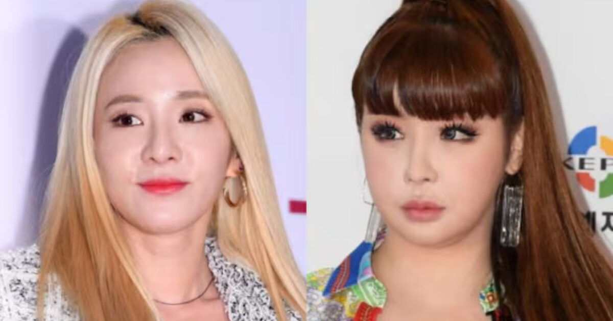 Did 2NE1’s Sandara Park And Park Bom Make Up After Team-Shaking Drug Drama?缩略图