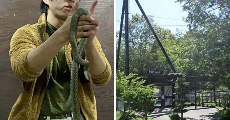 Police Make A Grisly Discovery At Popular Zoo’s Crematorium缩略图