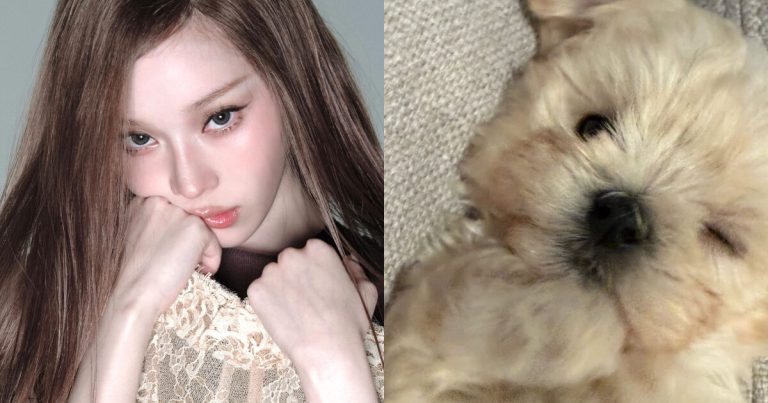 aespa’s Winter Addresses Pet Shop Adoption Accusations缩略图