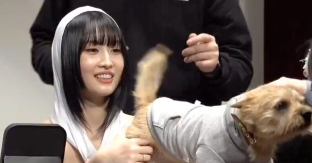 Fan In The Viral TWICE’s Momo Video Directly Speaks Up Against Recent Allegations缩略图