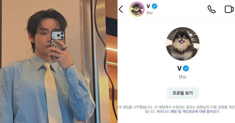 BTS’s V Slides Into A Fan’s DM, Sparks Massive Response缩略图