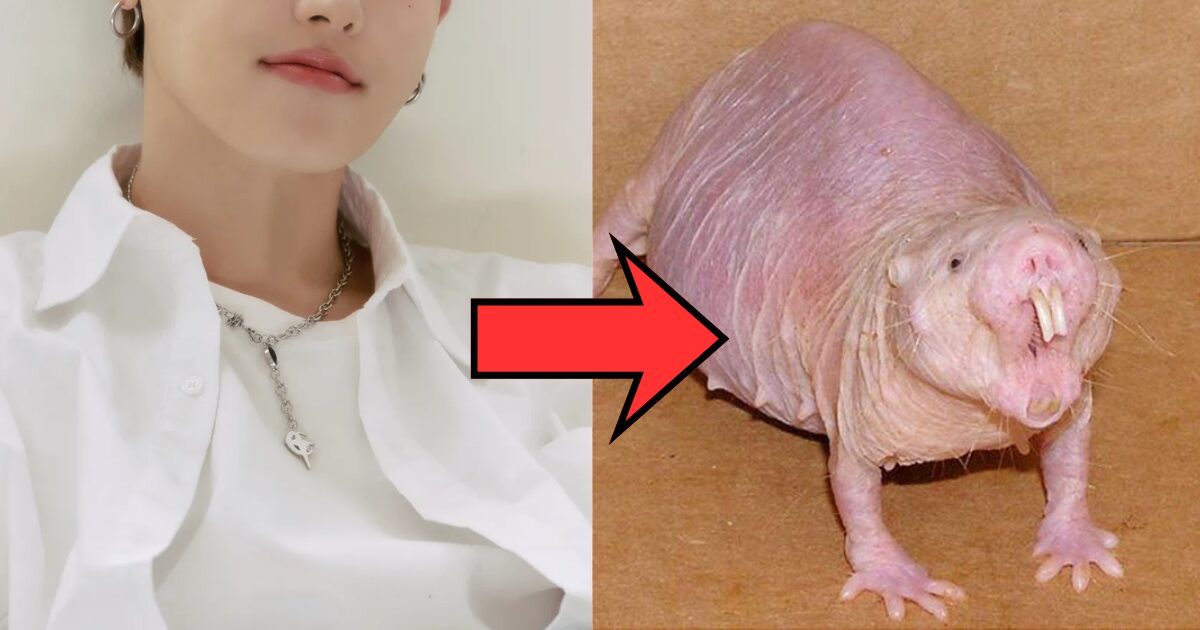 K-Pop Idol Apologizes For Calling 15-Year-Old Fan A “Naked Mole Rat”缩略图