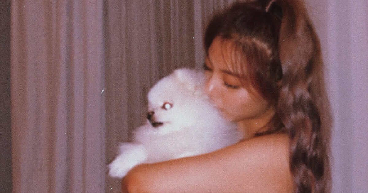 Ailee Says Heartbreaking Goodbye To Her Pet Dog缩略图