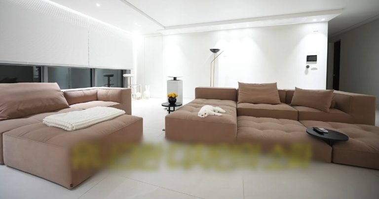 K-Pop Star Shows Off How Enormous Her House Is缩略图