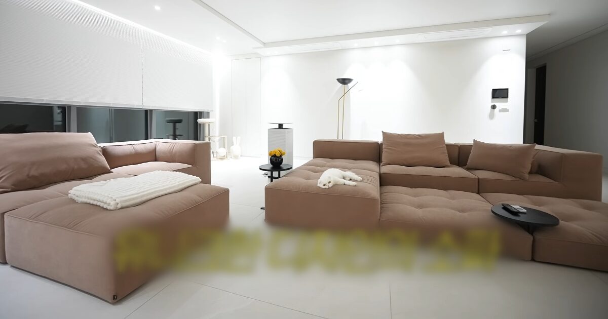 K-Pop Star Shows Off How Enormous Her House Is缩略图